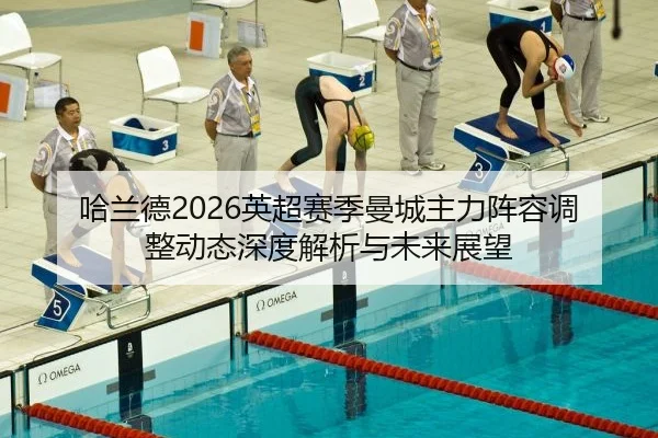 ha-lan-de-ying-chao-sai-ji-man-cheng-zhu-li-zhen-rong-tiao-zheng-dong-tai-shen-du-jie-xi-yu-wei-lai-zhan-wang-2-224.jpg